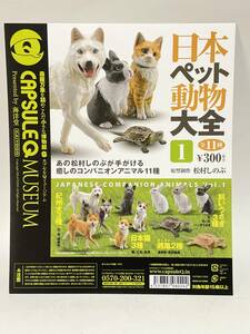 カプセルＱミュージアム　日本ペット動物大全1 　台紙