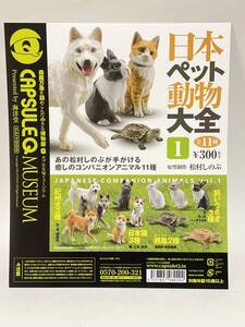 カプセルＱミュージアム　日本ペット動物大全1 　台紙