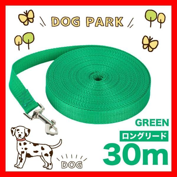 犬 リード　ロングリード 30m 小型犬 中型犬 緑 グリーン リード30M４