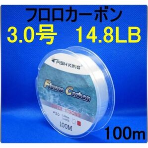 フロロカーボン 3.0号 (14.8LB) 100m 釣り糸 ライン リーダー