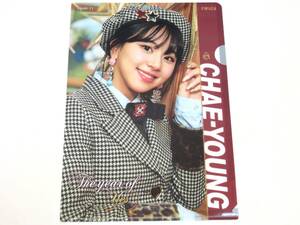 送無) TWICE/トゥワイス CHAEYOUNG チェヨン★A4 クリアファイル 新品 YY2