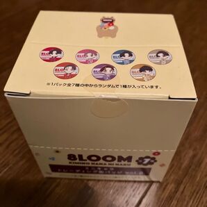 8loom トレーディング 缶バッジ