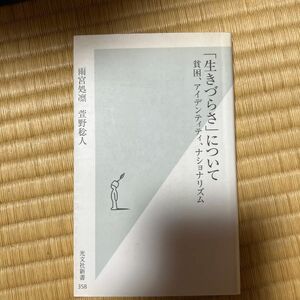 「生きづらさ」について　貧困、アイデンティティ、ナショナリズム （光文社新書　３５８） 雨宮処凛／著　萱野稔人／著