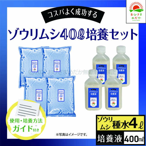 【ゾウリムシ 40L培養セット　送料無料】メダカ めだか 金魚 ミジンコ　らんちゅう　グッピー　ゾウリムシ　クロレラ　 針子　PSB 培養に