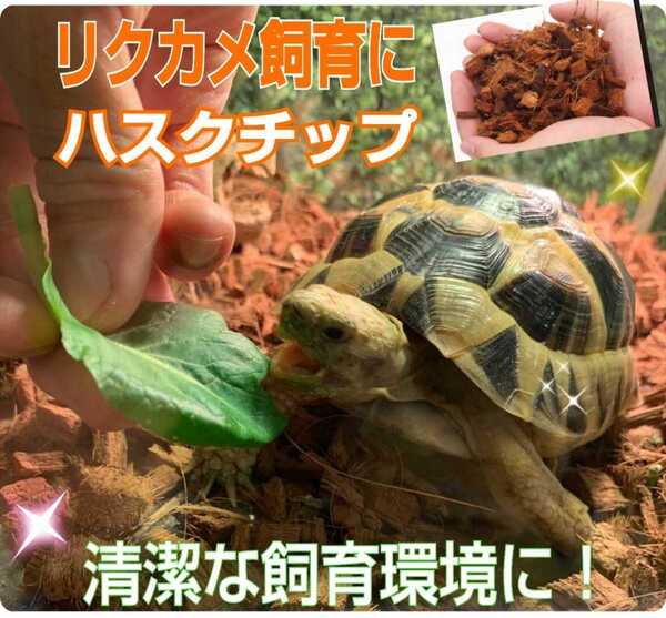 リクガメの床材はコレが一番!良質ハスクチップ☆10リットル袋 厳選した良質な天然素材100% 通気・保水性に優れ清潔な環境をつくります