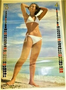 P36 山口百恵 ピンクレディー 水着ビキニ 特大ポスター 74cm × 51cm 昭和 アイドル 雑誌 付録