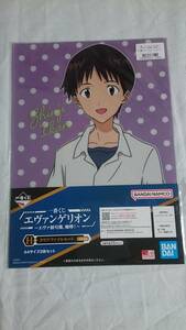 【一番くじ】 　エヴァンゲリオン ～エヴァ初号機、咆哮！～　H賞　クリアファイル　シンジ