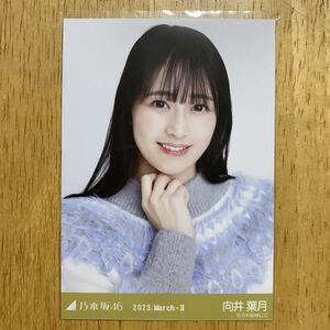 乃木坂46 向井葉月 ファーニット 生写真 ヨリ 1枚 検) web 限定 月別 2023.March-Ⅱ