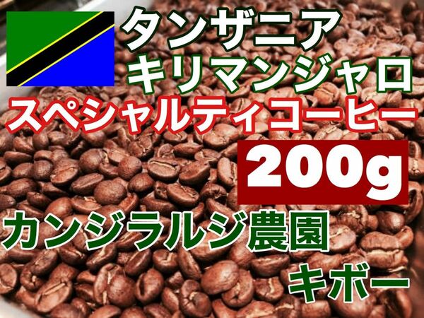 中煎　スペシャルティーコーヒー　キリマンジャロ　タンザニア カンジラルジ農園　200g