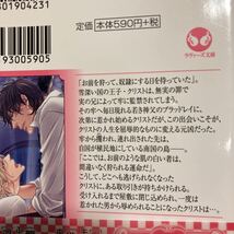 【BL文庫】裏切りの薔薇 ／犬飼のの・イラスト　國沢智_画像3