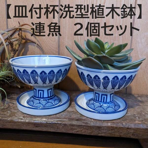 【お得な2個セット】杯洗型植木鉢　連魚　受け皿付　魚　苔　多肉植物　サボテン 　植木鉢　苔　陶器　和風　染付　観葉植物