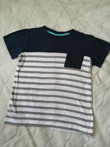 150cm ボーダー半袖Tシャツ 紺×グレー　白