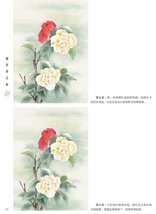 9787558059100　工筆四季花卉2　初心者の友　中国画技法　中国絵画_画像4