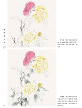 9787558059100　工筆四季花卉2　初心者の友　中国画技法　中国絵画_画像3