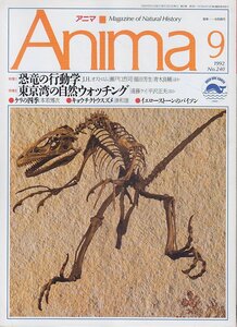 ■送料無料■Y14■アニマ■1992年９月No.240■特集：恐竜の行動学/東京湾の自然ウォッチング/キョウチクトウスズメ■（概ね良好）