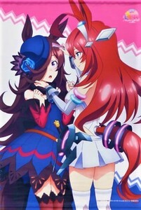 ウマ娘 プリティーダービー Season2/アニメイト Blu-ray全巻購入特典 B2サイズ タペストリー/ライスシャワー＆ミホノブルボン