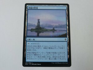 MTG 美品 【神秘の聖域】 （コモン） エルドレインの王権 ELD 日 9枚迄