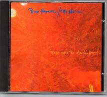ピーター・ハミル／There Goes The Daylight、CD（輸入盤、FIE9106）、peter Hammillの1993年、LondonでのLIVE、ニック・ポッター_画像1