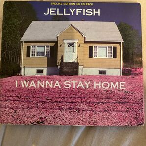 jellyfish 『I wanna stay home』