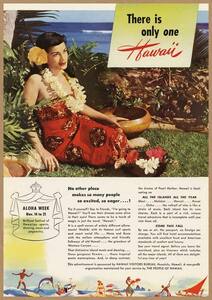 HAWAII レトロミニポスター B5サイズ ◆ 複製広告 ロコガール ハワイ USAD5-012