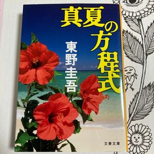 真夏の方程式 （文春文庫　ひ１３－１０） 東野圭吾／著