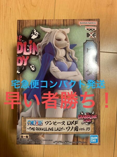 最終値下げ！早い者勝ち！ワンピース DXF～THE GRANDLINE LADY～ワノ国 vol.10 ワンダ