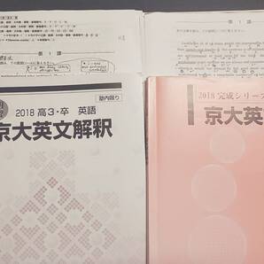 河合塾 中尾悟先生 夏期・完成 京大英文解釈 テキスト・プリント フルセット 英文読解の透視図 駿台 鉄緑会 Z会 東進 SEG