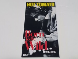 ホット・トマト　HOT TOMATO　BORN TO BE WILD　Nissan SKYLINE TV-CF曲　レア盤　ジャケット難あり