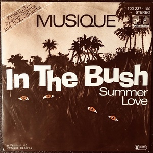 【Disco & Soul 7inch】Musique / In The Bush. 