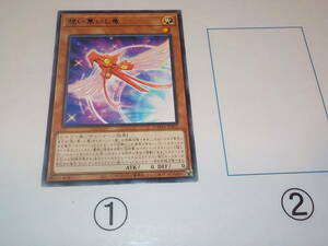 遊戯王　想い集いし竜　DAMA　レア　中古です。