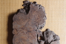 即決■時代敷板【葡萄杢】一枚板■74×49×3cm■玉杢■瘤■縮み杢 変木 古材 花台 華道 盆栽台 銘木 ビンテージ アンティーク 古道具 骨董_画像4