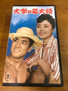 n6/VHS ビデオ 大学の若大将 加山雄三 星由里子 藤山陽子 中真千子 久慈あさみ 杉江敏男