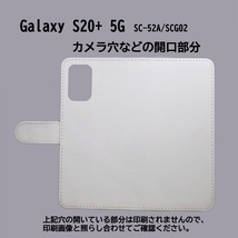 Galaxy S20+ 5G SC-52A　スマホケース 手帳型 プリントケース 飛行機 雲 空_画像3