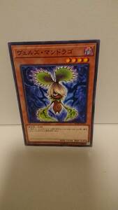 遊戯王 ヴェルズ・マンドラゴ ノーマル ST18-JP013