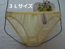 D362★【最終品】大きいサイズ（*^_^*）お洒落♪ショーツ(クリーム)3L_画像1