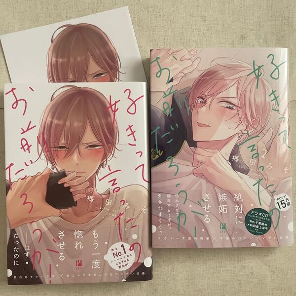梅田みそ 好きって言ったのお前だろうが 特典 リーフレット 新刊