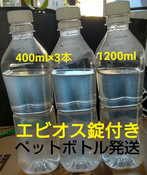 ゾウリムシ 1200ml　&　エビオス　10錠。メダカの餌 防腐加工済。メダカ　金魚　グリーンウォーター