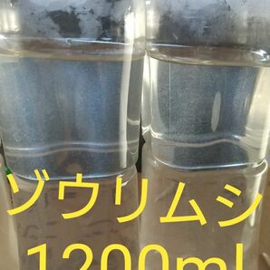 ゾウリムシ　1200ml　　メダカ　めだか　金魚　らんちゅう　ミジンコの餌に…検索　グリーンウォーター　ミジンコ