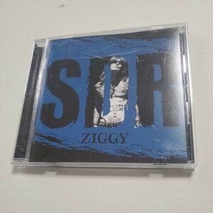 ZIGGY 「SDR」