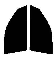 ライトスモーク　５０％　運転席、助手席　ビスタ　ハードトップ　V4#　カット済みフィルム