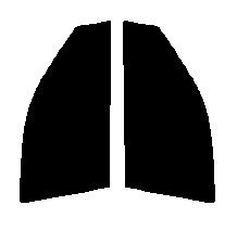 ダークスモーク　13％ 運転席、助手席　レガシー レガシィ B4 BE　カット済みフィルム　国産