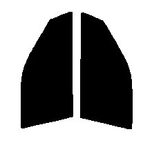 ライトスモーク　５０％ 運転席、助手席　ステージア　C34　カット済みフィルム