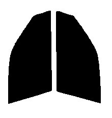 ハーフスモーク　７６％ 運転席、助手席　ブルーバード　セダン　U14　カット済みフィルム