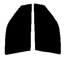 ライトスモーク　５０％ 運転席、助手席　シーマ　Y32　カット済みフィルム