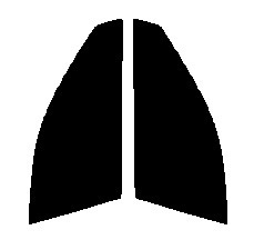 ダークスモーク　１３％　運転席、助手席　ウイングロード　Y11　カット済みフィルム　国産
