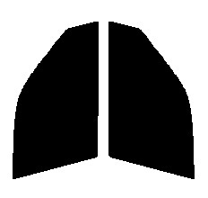 スモーク　２６％　2層構造フィルム　運転席・助手席　シビックシャトル 5ドア EF・EY　カット済みカーフィルム　