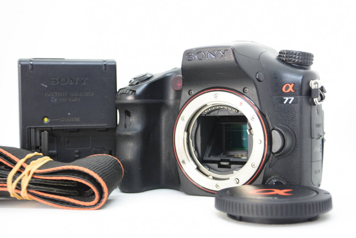 受注生産品】 【papasan様専用】SONY α77ⅱセット デジタルカメラ