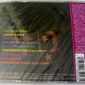  【CD】Soul Of A Brutha 『 Big Brutha Soul 』 ビッグ・ブラザ・ソウル BLCM-85923 廃盤 新品・未開封の画像2