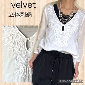 velvet 立体刺繍 ホワイト インド綿 ドロップネック 七分袖 春夏秋 コットン インポート シェルボタン V字 七分袖 白