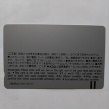 アニメ 源氏物語 藤壺 テレホンカード　テレカ　50度数　未使用_画像2